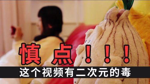 慎 视频,揭秘网络时代下的安全意识与防范技巧