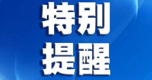 深圳热门头条爆料新闻视频,揭秘最新爆料新闻背后的真相