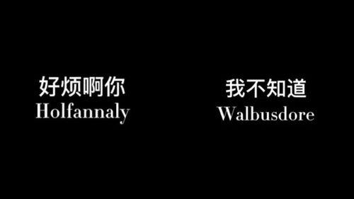 淋语视频,揭秘网络流行语的魅力与影响