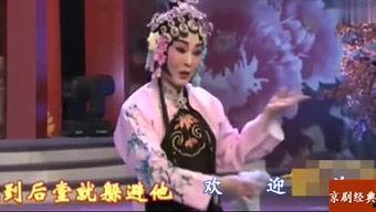 戏凤视频,揭秘宫廷秘闻，演绎传奇人生