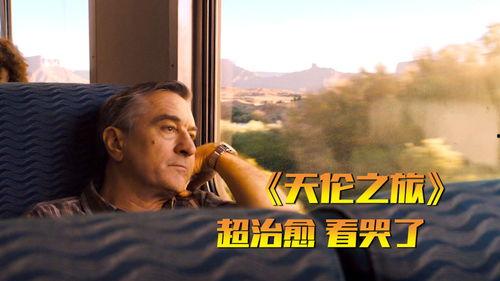 天伦之旅在线播放电影,重温亲情温馨时光