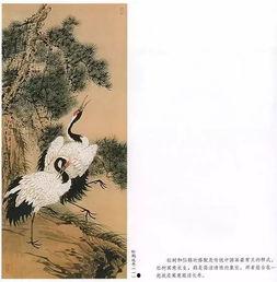 写意鹤视频,写意鹤的优雅瞬间