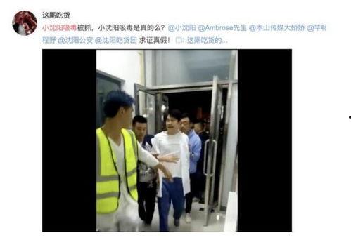 史萌老婆爆料视频大全集,揭秘背后惊人真相