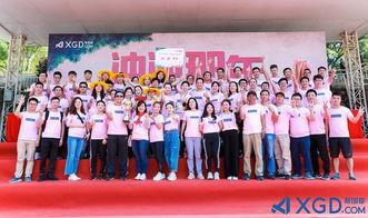 冲冲那年免费观看,免费畅享青春回忆之旅