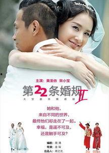 22条婚规2在线观看,婚姻真相大揭秘，在线观看揭示婚姻困境与破解之道