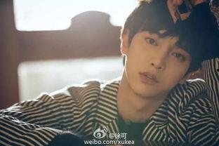 徐可十五分钟视频,揭秘成功秘诀